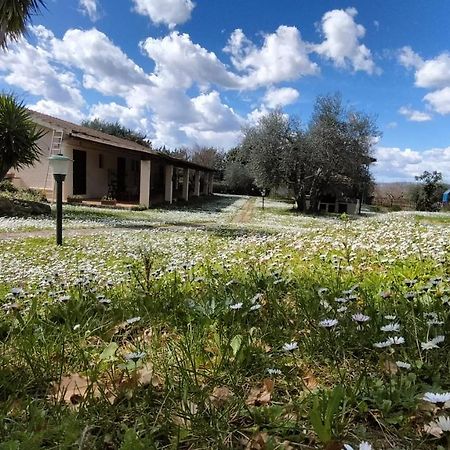 Agriturismo Bio Pian Dei Casali Saturnia Bagian luar foto