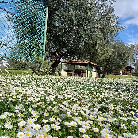 Agriturismo Bio Pian Dei Casali Saturnia Bagian luar foto
