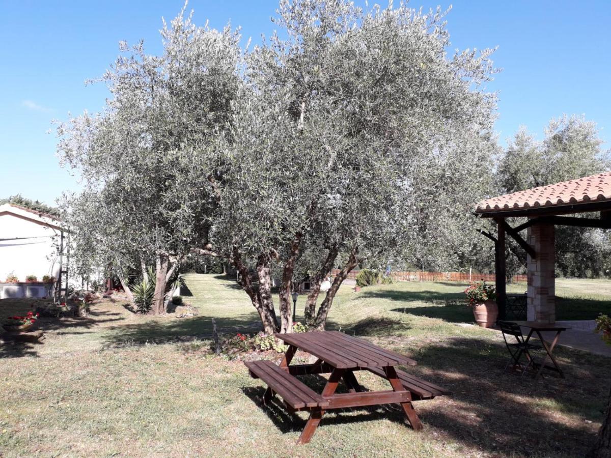 Agriturismo Bio Pian Dei Casali Saturnia Bagian luar foto