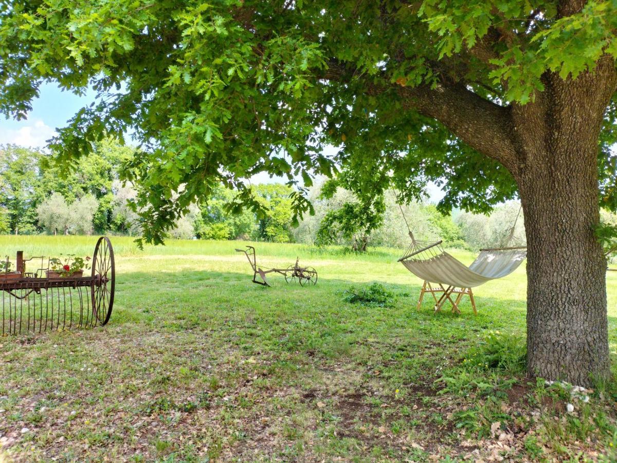 Agriturismo Bio Pian Dei Casali Saturnia Bagian luar foto