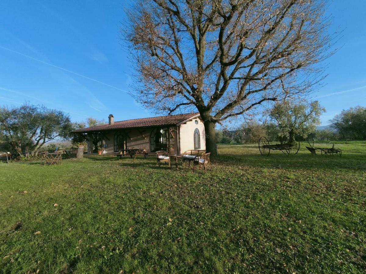 Agriturismo Bio Pian Dei Casali Saturnia Bagian luar foto