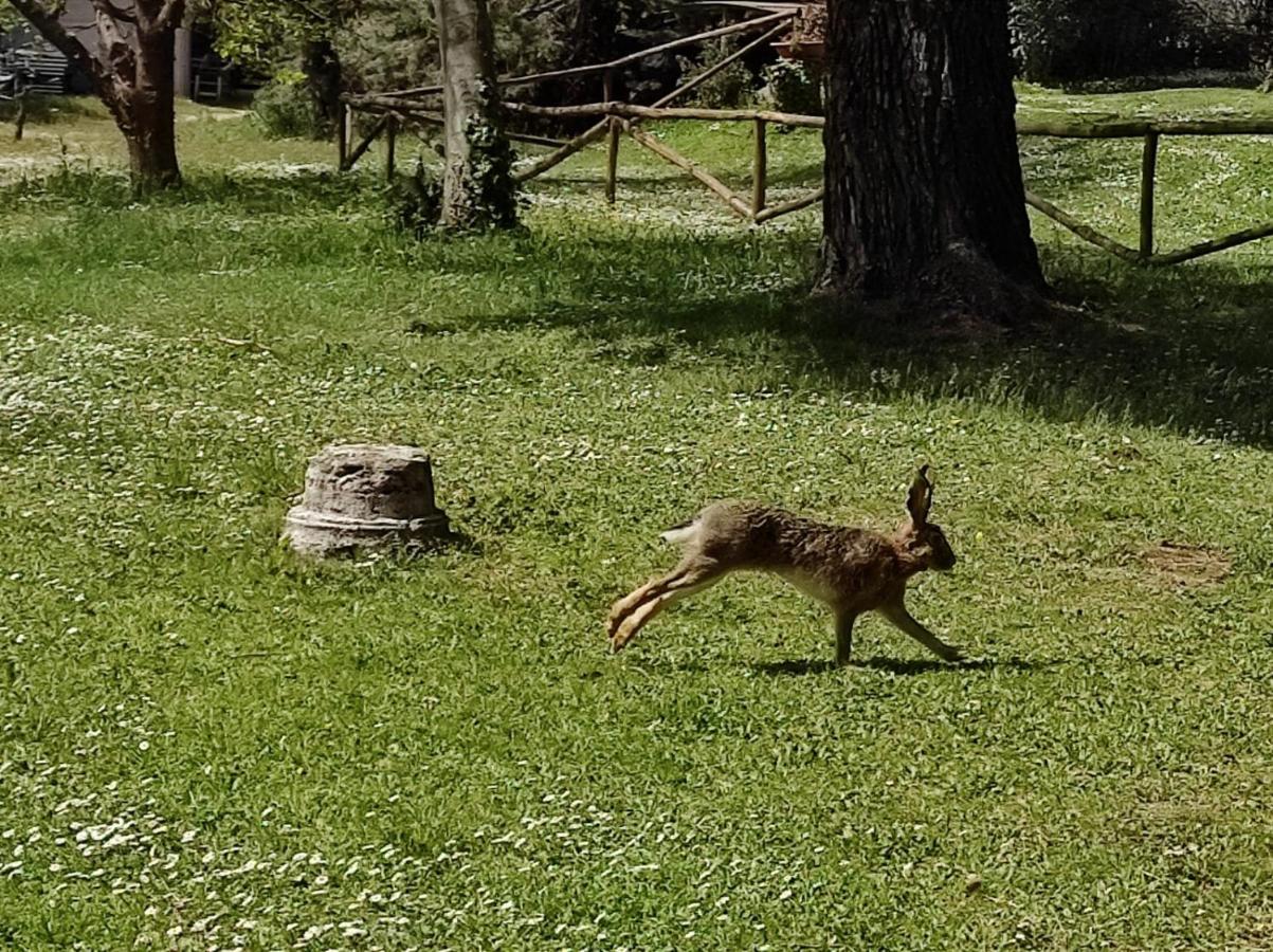Agriturismo Bio Pian Dei Casali Saturnia Bagian luar foto