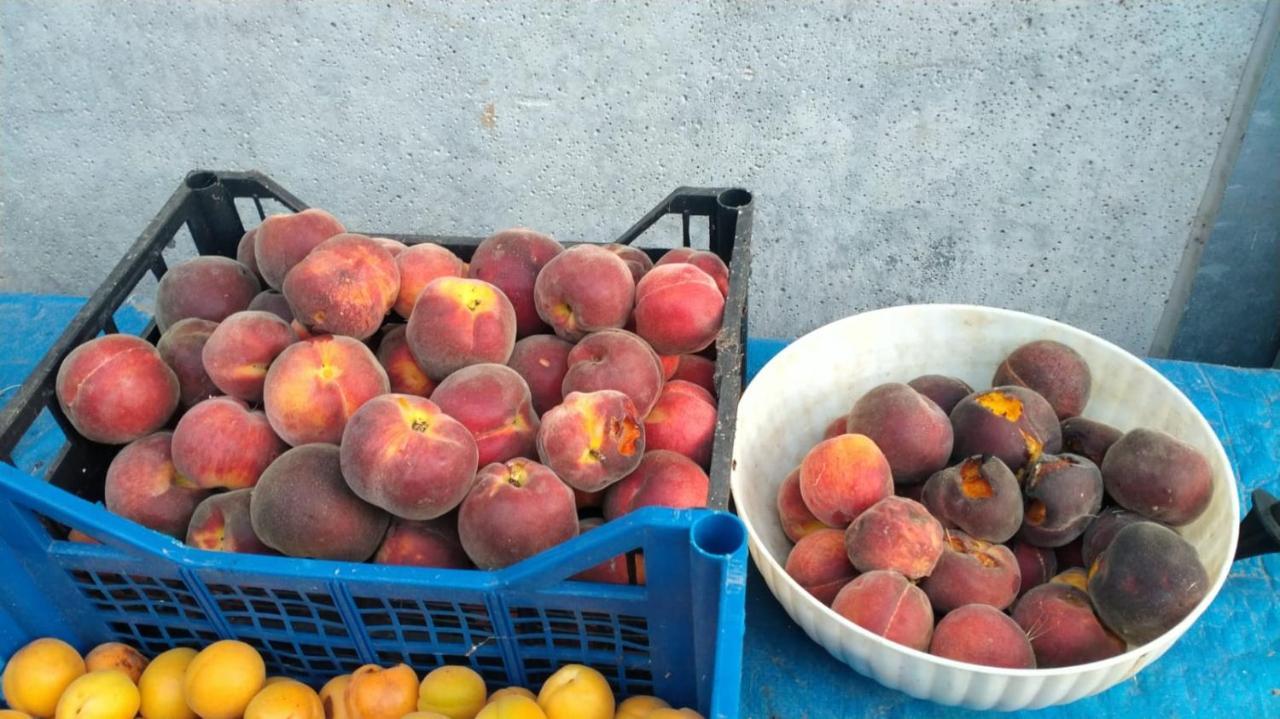 Agriturismo Bio Pian Dei Casali Saturnia Bagian luar foto
