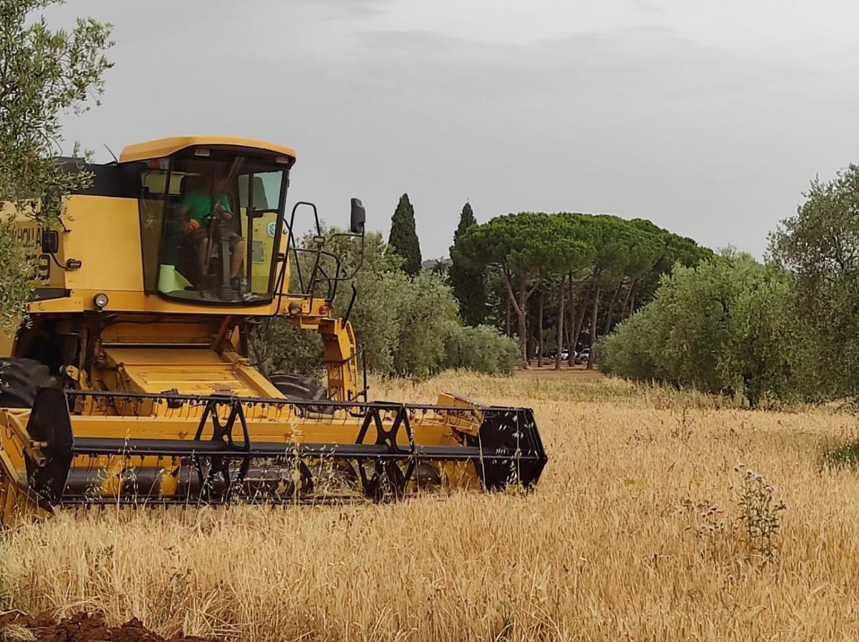 Agriturismo Bio Pian Dei Casali Saturnia Bagian luar foto