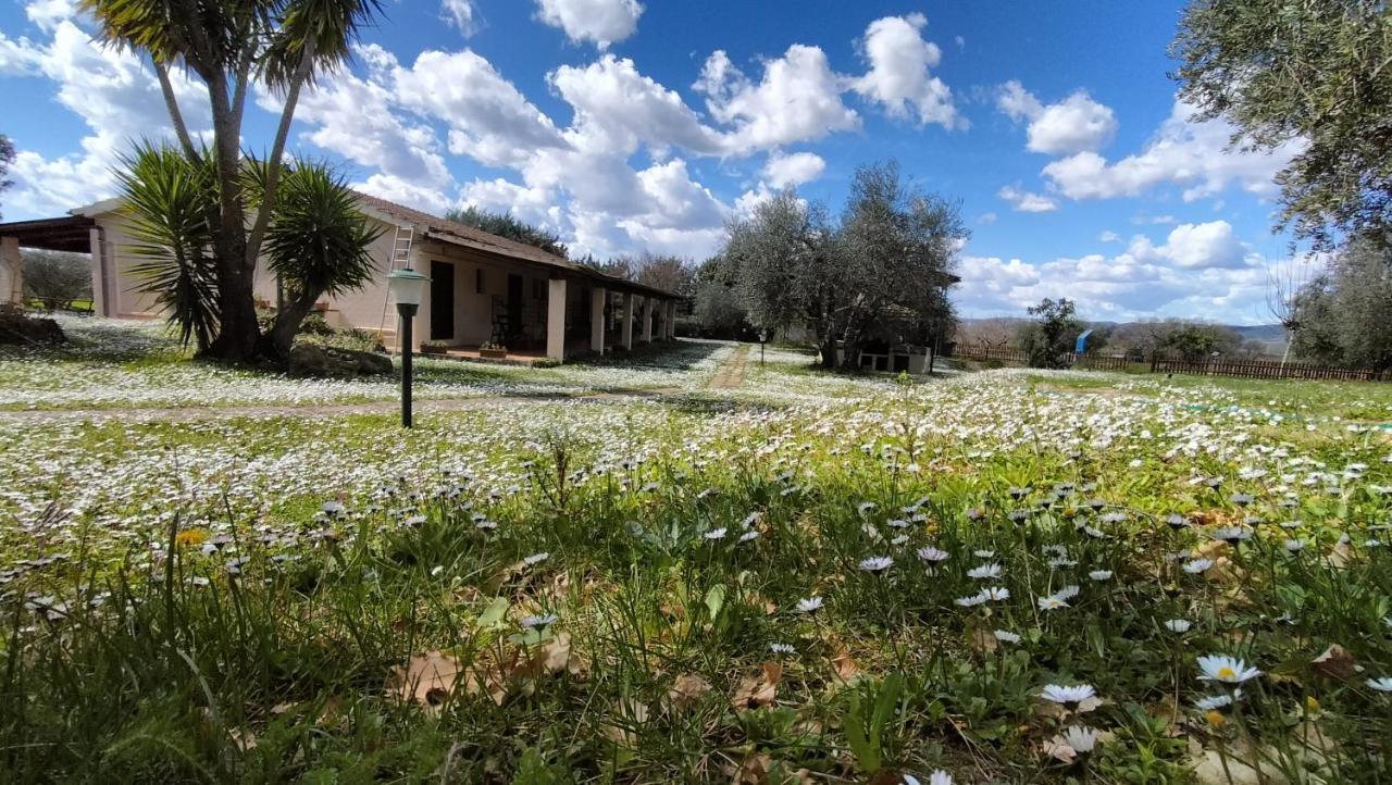 Agriturismo Bio Pian Dei Casali Saturnia Bagian luar foto