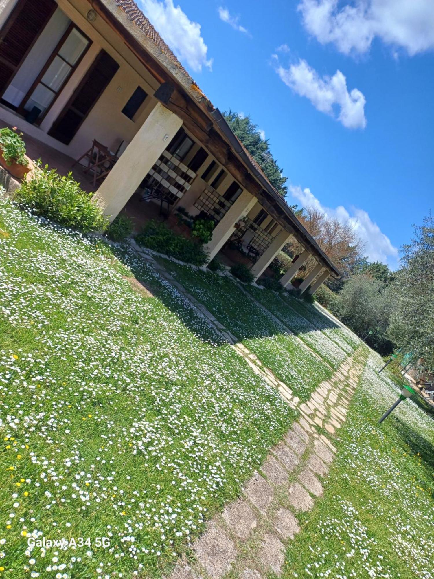 Agriturismo Bio Pian Dei Casali Saturnia Bagian luar foto