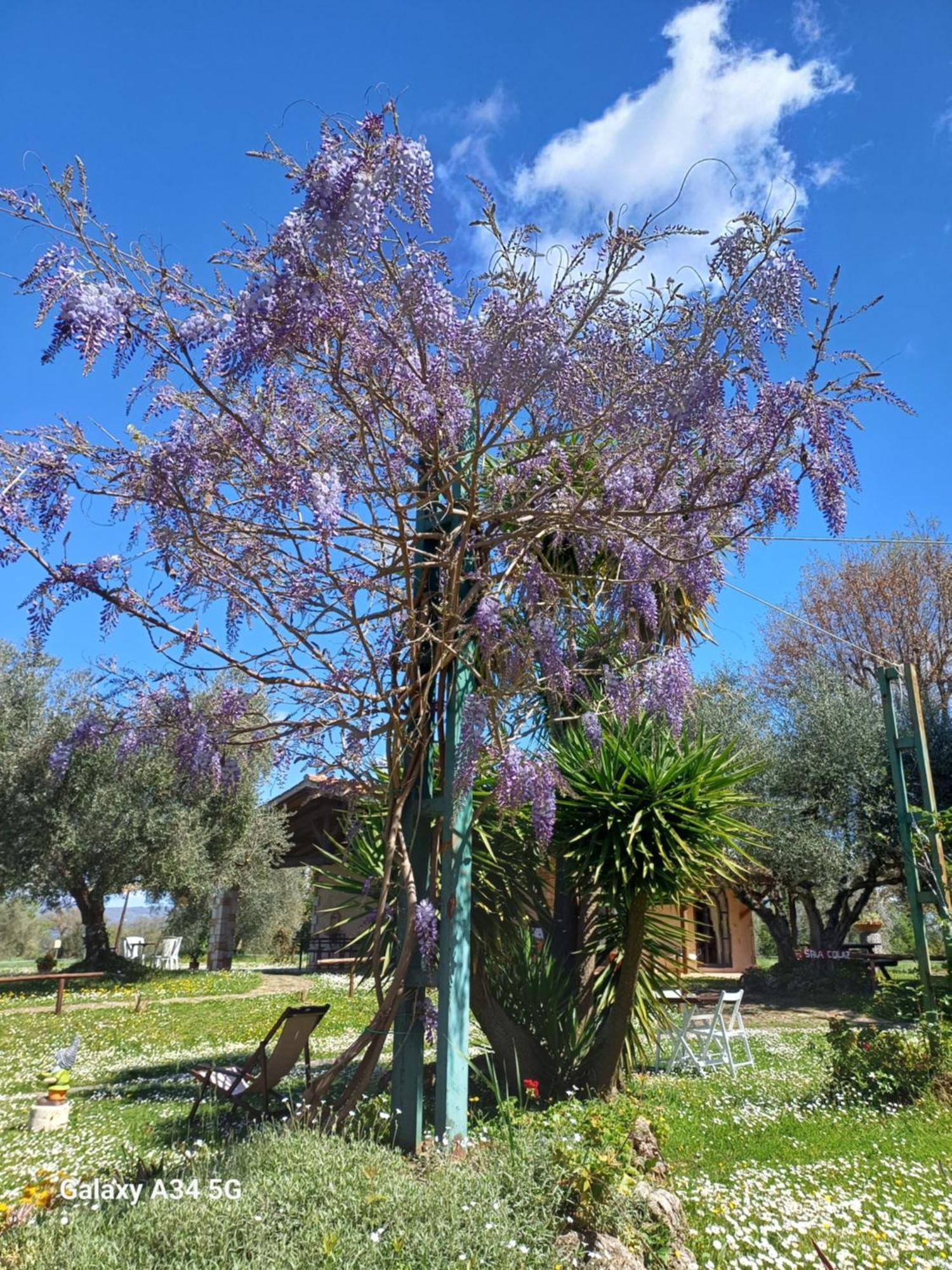 Agriturismo Bio Pian Dei Casali Saturnia Bagian luar foto