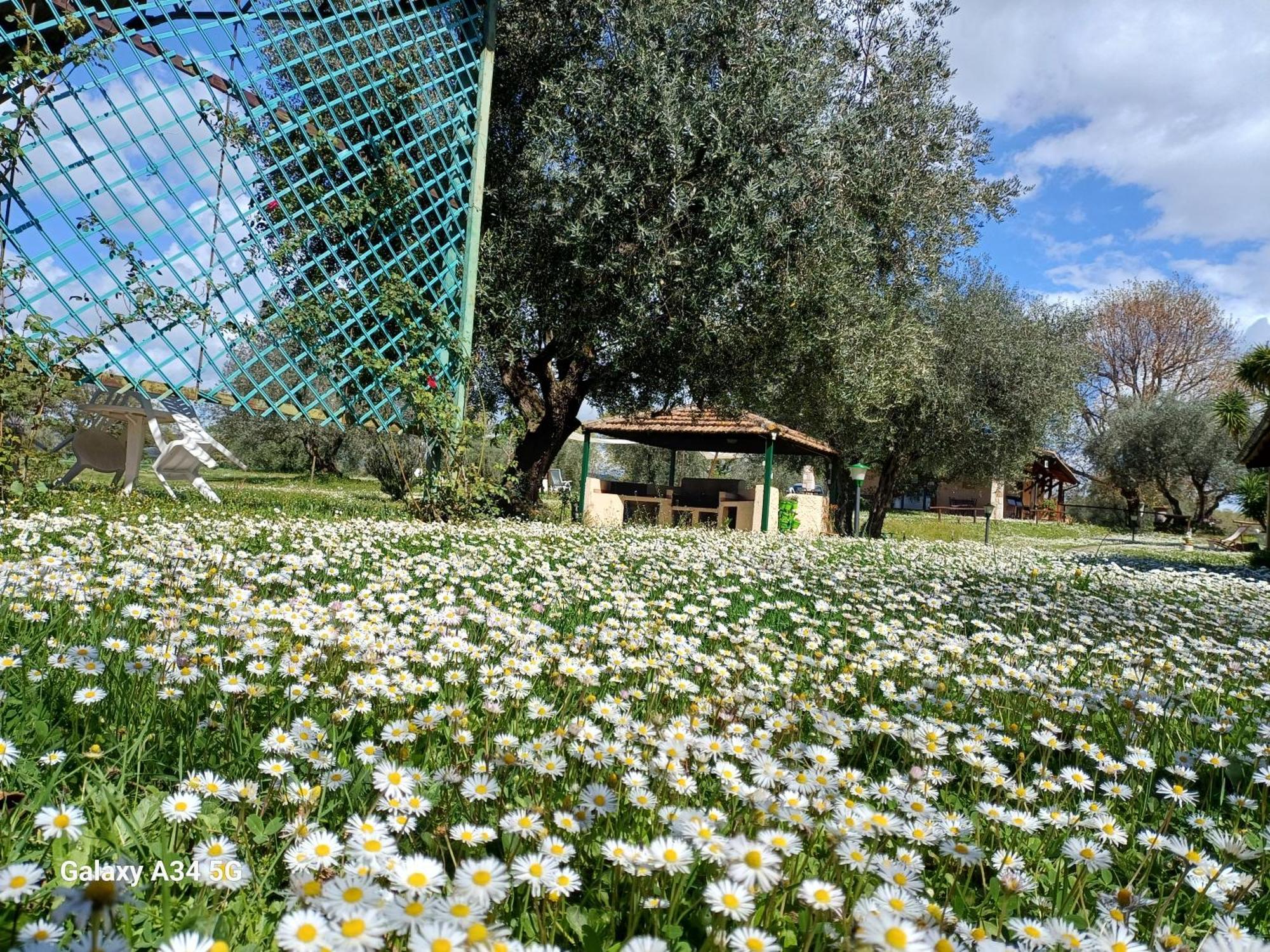 Agriturismo Bio Pian Dei Casali Saturnia Bagian luar foto