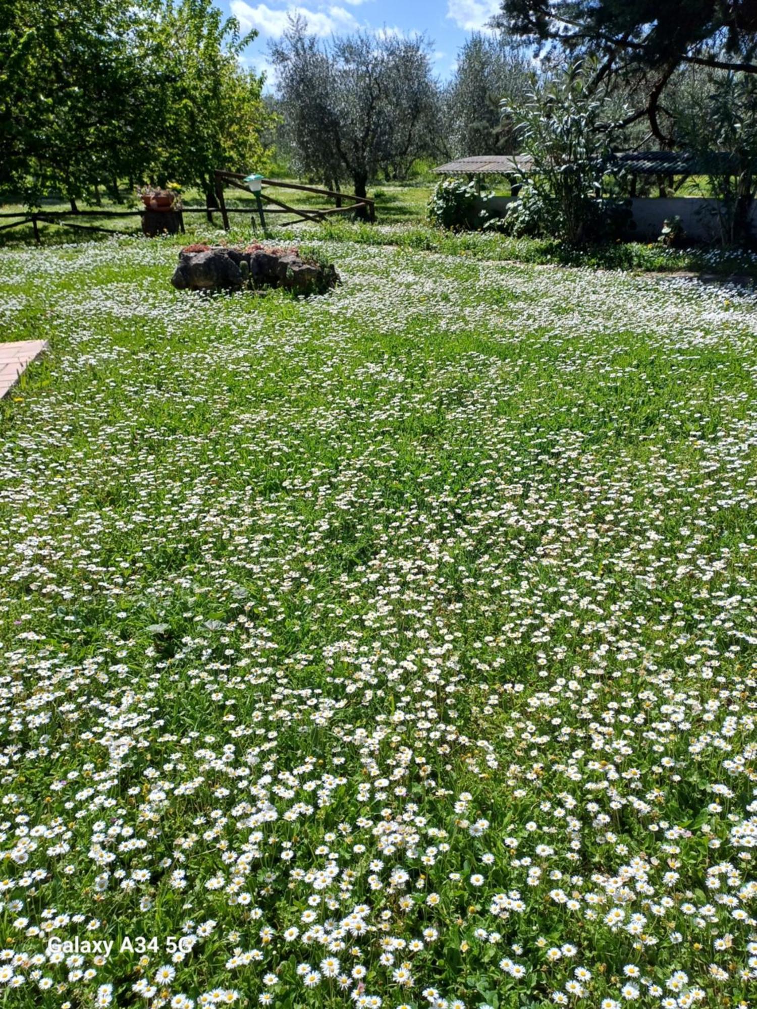 Agriturismo Bio Pian Dei Casali Saturnia Bagian luar foto