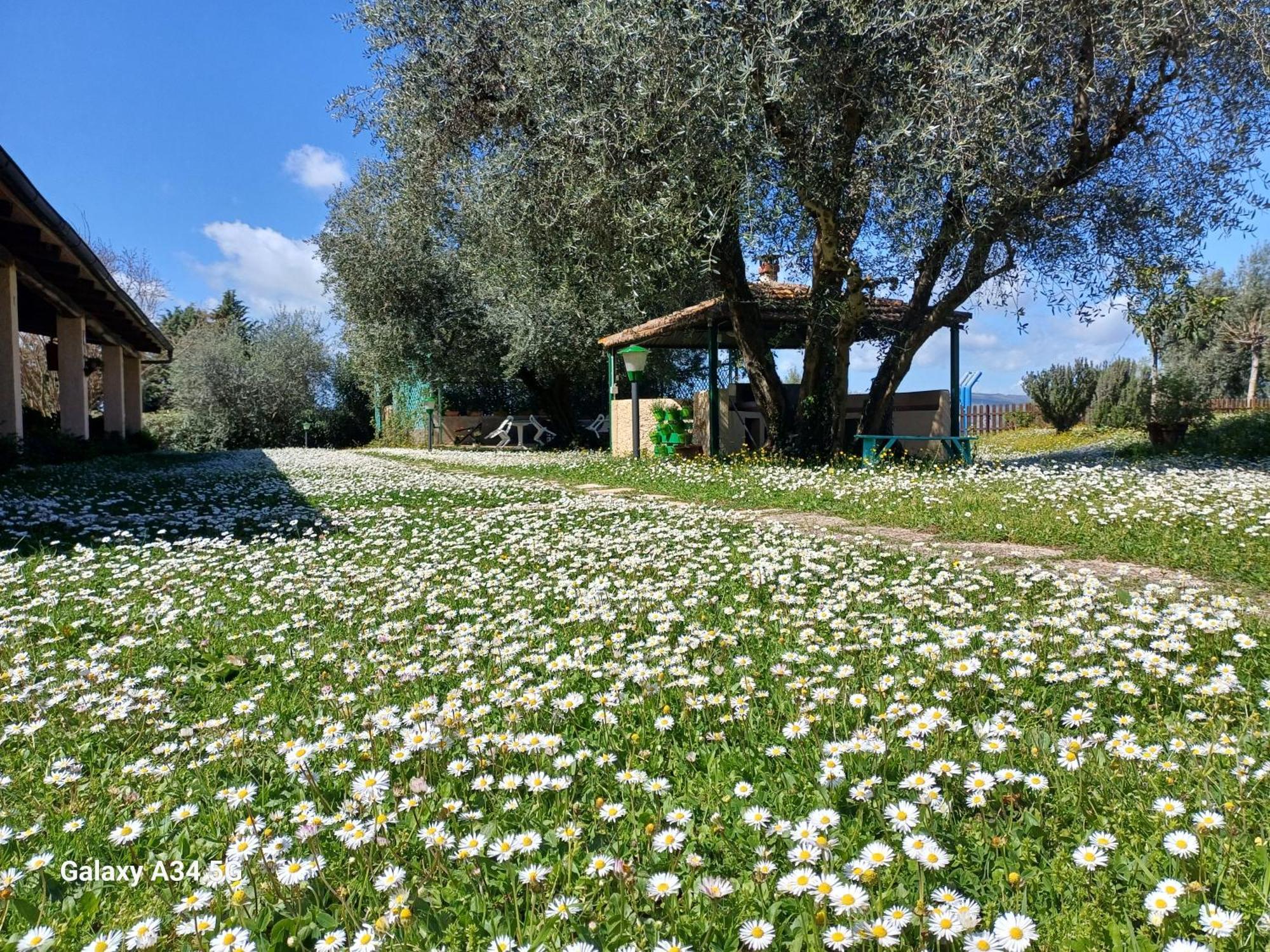 Agriturismo Bio Pian Dei Casali Saturnia Bagian luar foto