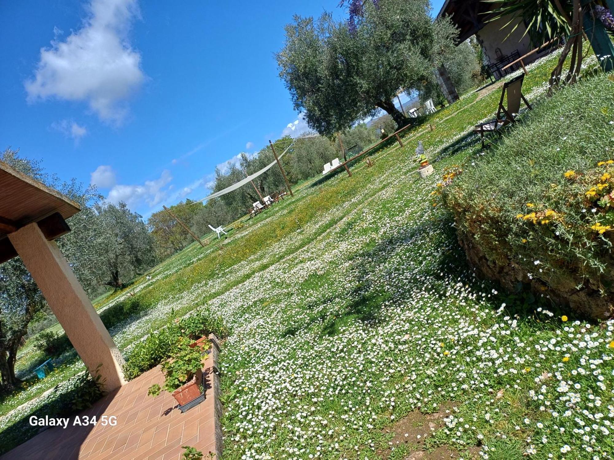 Agriturismo Bio Pian Dei Casali Saturnia Bagian luar foto