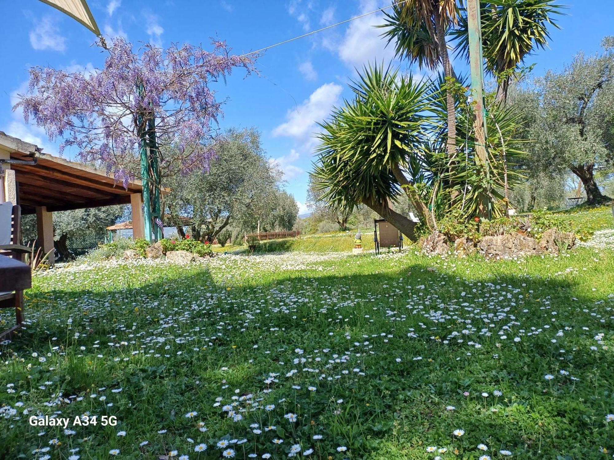 Agriturismo Bio Pian Dei Casali Saturnia Bagian luar foto