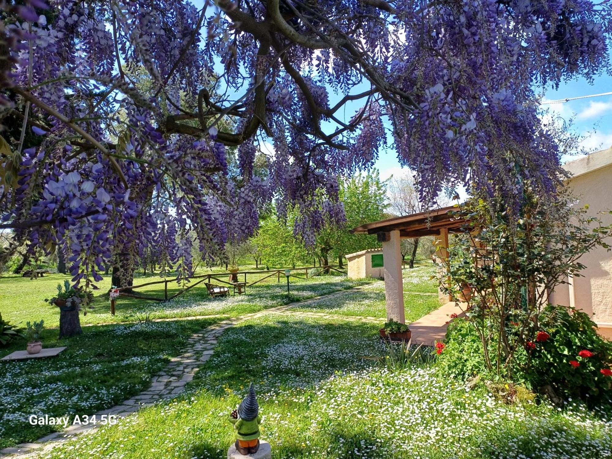 Agriturismo Bio Pian Dei Casali Saturnia Bagian luar foto