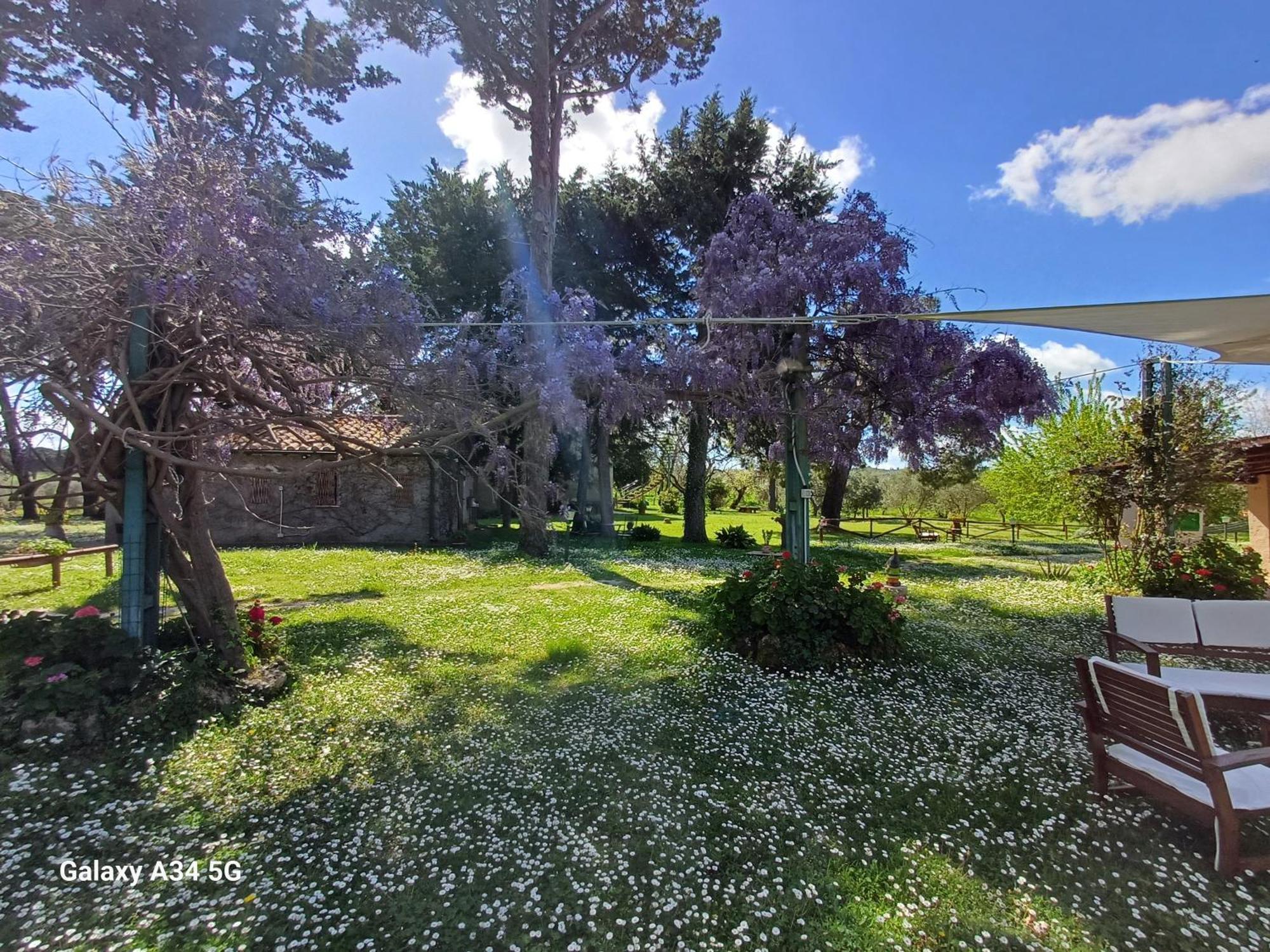 Agriturismo Bio Pian Dei Casali Saturnia Bagian luar foto