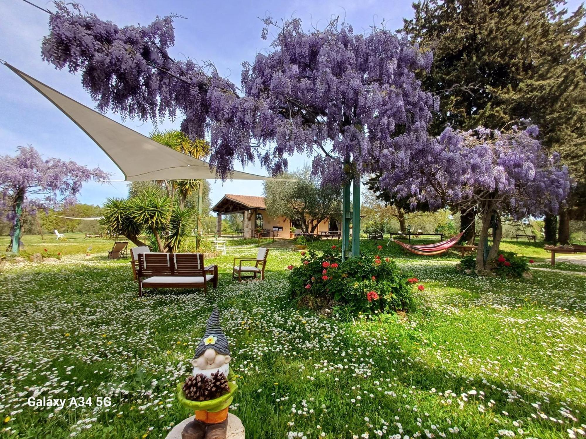 Agriturismo Bio Pian Dei Casali Saturnia Bagian luar foto